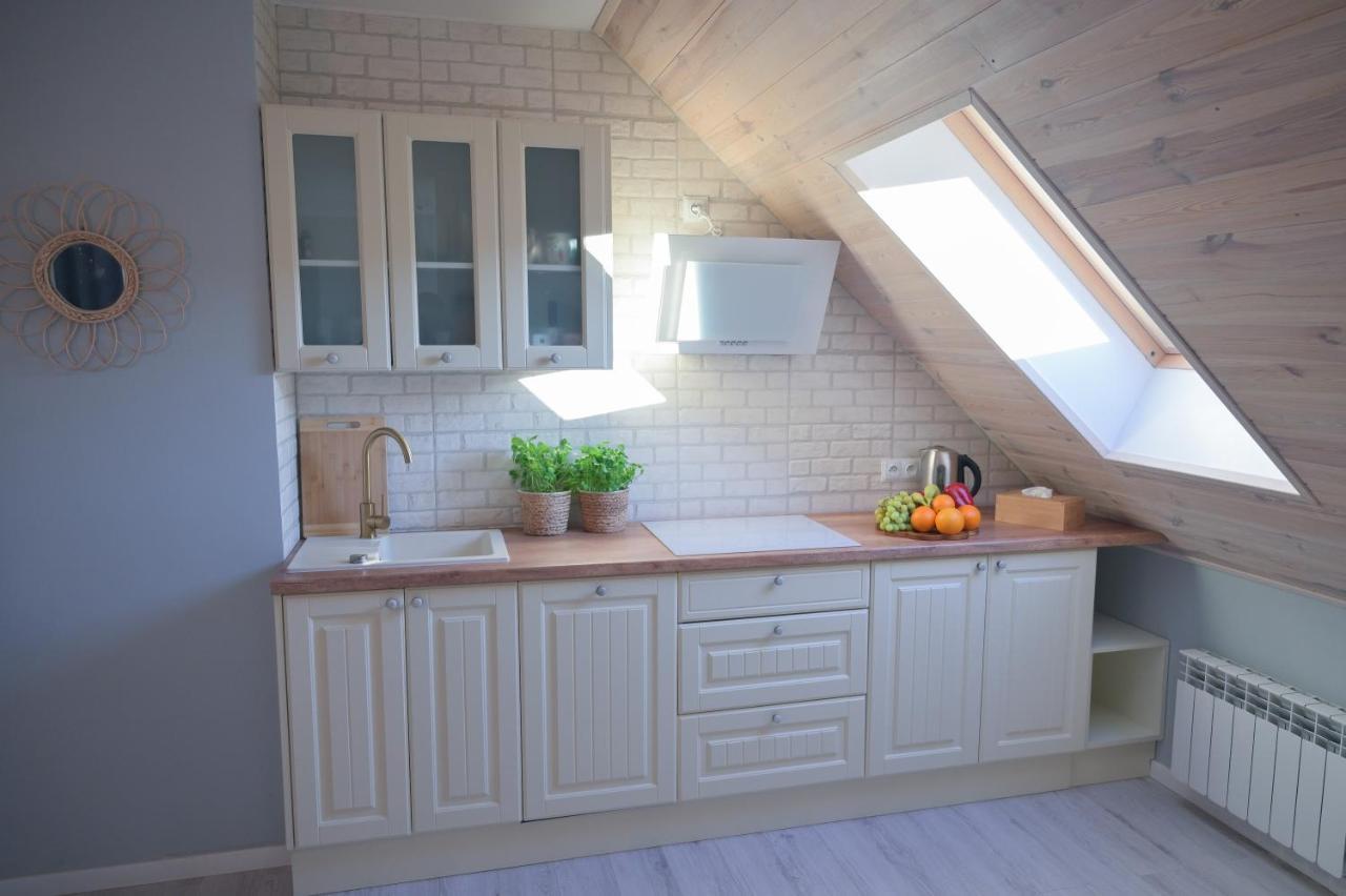 Apartment U Sikorki Ustrzyki Dolne